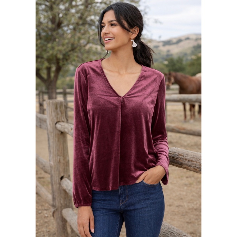 Altar'd State Womens Burgundy Velvet V-Neck Long Sleeve Blouse Top NWT Size L